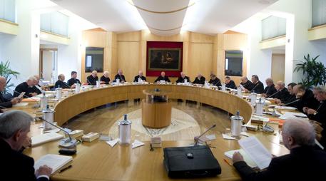 The CEI council (foto: ANSA)