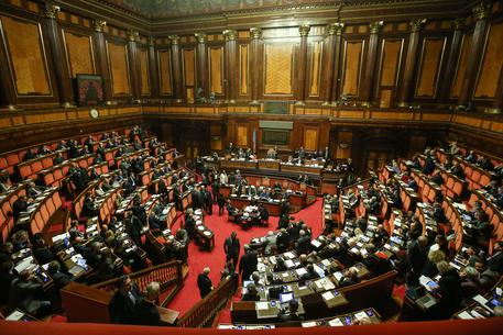 L'Aula del Senato in una recente immagine © ANSA