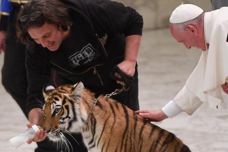 Papa Francesco accarezza la tigre dei circensi © ANSA