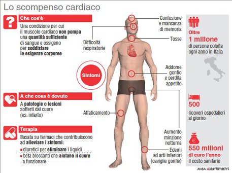 L'infografica sullo scompenso cardiaco © Ansa