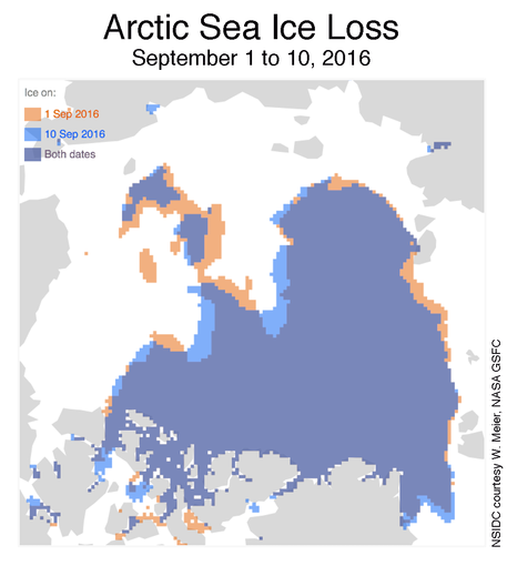 Nell'immagine il confronto del mare artico il 1 settembre (arancione) e il 10 settembre (blu). In viola la sovrapposizione (National Snow and Ice Data Center) © Ansa