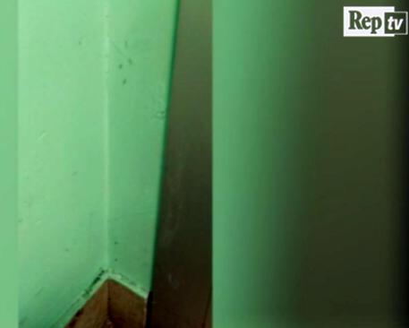 Un fermo immagine del video di denuncia del paziente ricoverato per due mesi all'ospedale  Civico di Palermo: una fila di formiche che corre lungo i telai della finestra e lungo il  battiscopa di una corsia © ANSA
