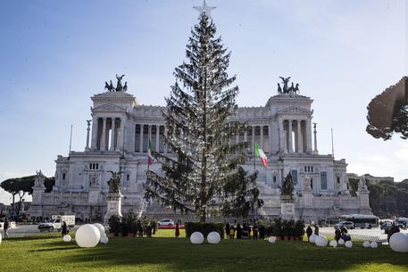 L'albero di Natale collocato a Piazza Venezia © ANSA