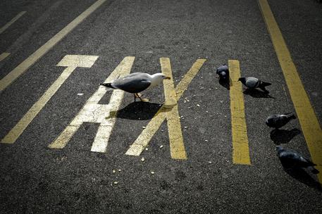 Parcheggi vuoti dei taxi a Napoli © ANSA