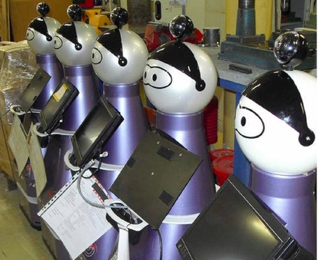 Il robot Enrichme (fonte: Centro per l'Innovazione e il Trasferimento Tecnologico/Kompai) © Ansa