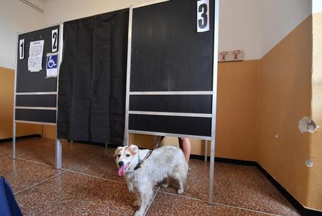 Operazioni di voto per le comunali © ANSA