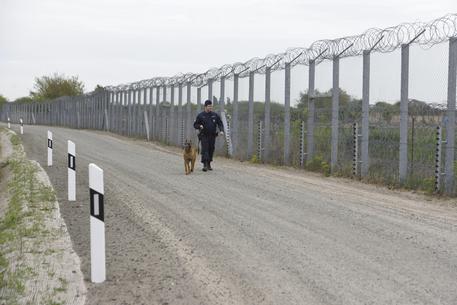 Il muro ungherese anti-migranti © AP