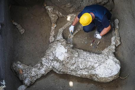 Nuovi ritrovamenti a Pompei, il sito scoperto da tombaroli denunciati dai carabinieri © ANSA