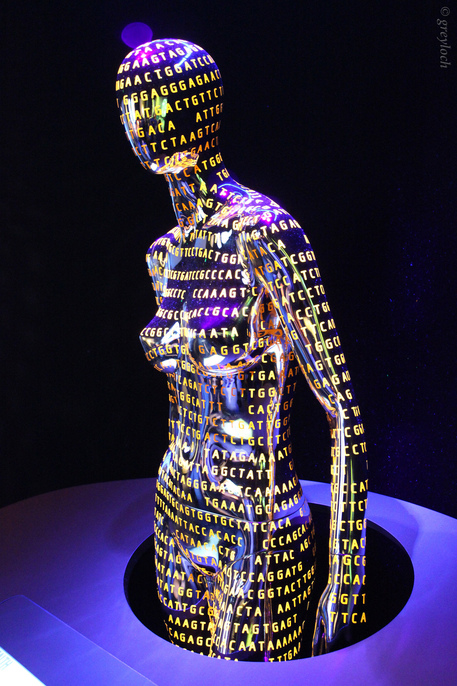 E' già cominciata l'era bioartificiale, dove il corpo umano si fonde sempre più con l'hitech (fonte: greyloch/Flickr) © Ansa