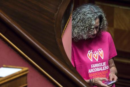 La senatrice del Pd Monica Cirinnà © ANSA