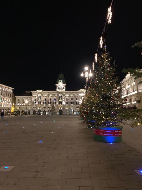 Trieste Natale.Natale Abeti A Trieste Fino Al Capodanno Ortodosso Friuli V G Ansa It