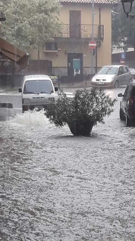 Maltempo:forti piogge a Trieste,strade e abitazioni allagate © ANSA