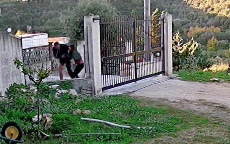 Un fermo immagine tratto dal video registrato dalla telecamera di sorveglianza che mostra l'aggressione alla ragazza © ANSA
