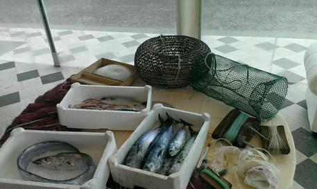 Cene gratis in Campania per promuovere il pesce 