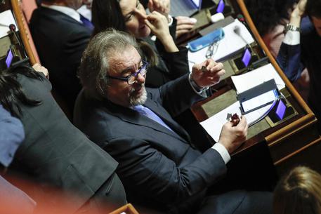 Mario Michele Giarrusso in Senato durante il voto sul disegno di legge costituzionale sulla riduzione del numero dei parlamentari © ANSA