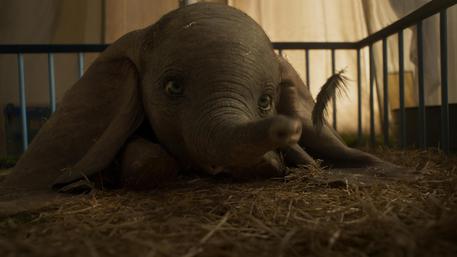 Cinema: Tim Burton, 'io un outsider come Dumbo' © ANSA
