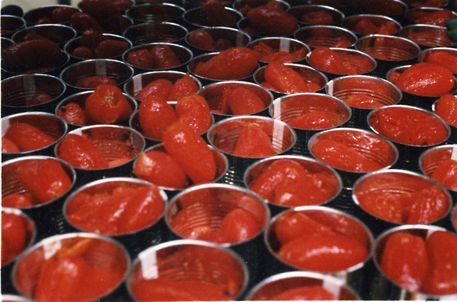 Pomodoro industria © ANSA