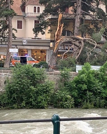 Maltempo: crolla albero a Merano © ANSA
