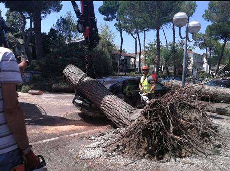 Un'immagine tratta dal profilo Facebook del Comune di Cervia mostra i danni causati dalla tempesta su Milano Marittima il 10 luglio © ANSA