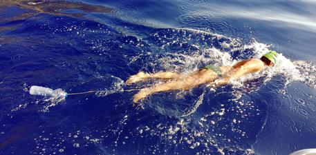 Ambiente: a nuoto Alicudi-Filicudi sulla rotta delle tartarughe © ANSA