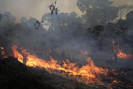 Incendi in Amazzonia © AP