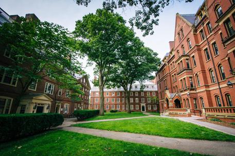 L'università di Harvard © ANSA