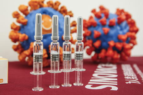 Vaccino cinese CoronaVac © EPA