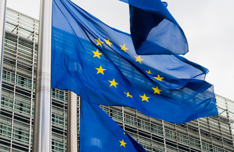 Bandiere dell'Europa al Parlamento europeo © Ansa