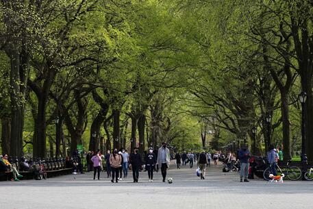 Persone passeggiano a Central Park, New York. Immagine d'archivio © AFP