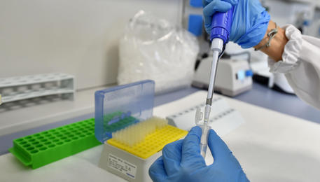 Coronavirus:nuovo laboratorio Piemonte,2mila test al giorno © ANSA