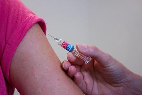 Vaccino, influenza © ANSA