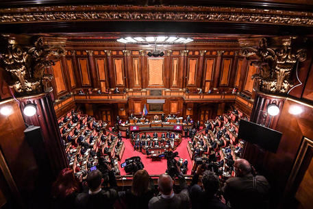 L'Aula del Senato © ANSA/ALESSANDRO DI MEO