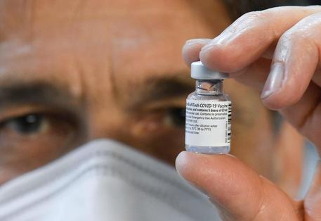 Una fiala di vaccino Pfizer-BioNTech © AFP