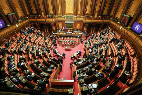 L'aula del Senato in un'immagine d'archivio © ANSA