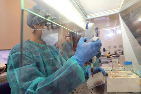 Covid, potenziato il laboratorio di biologia molecolare �Refertati 1200 tamponi al giorno, qui studieremo le varianti del virus� © ANSA