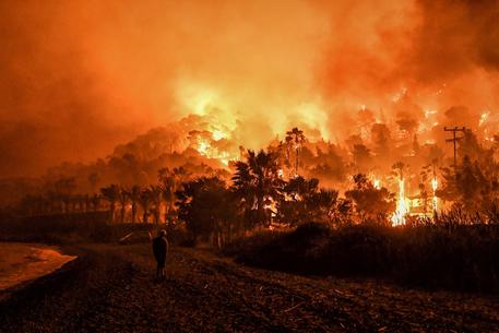 Grecia: incendio boschivo a ovest Atene, evacuati 6 villaggi © AFP