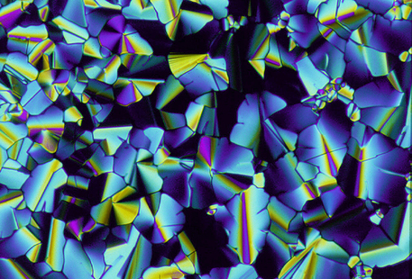 Struttura di cristalli liquidi vista al microscopio (fonte:Paul Hindmarsh e John Goodby,The Liquid Crystal Group, The University of Hull) © Ansa