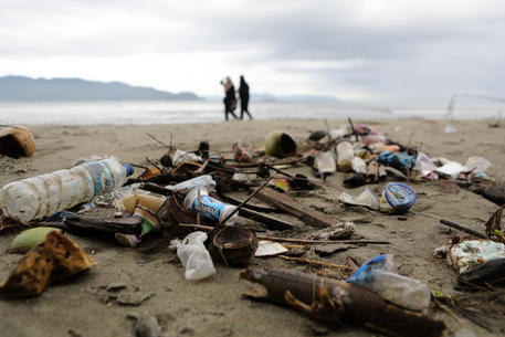 Rifiuti di plastica nel mare in un'immagine d'archivio © ANSA 