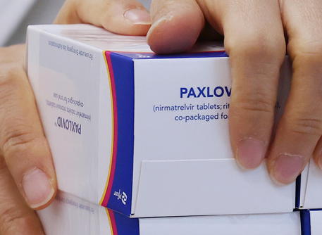 Confezioni di pillola Paxlovid della Pfizer © EPA