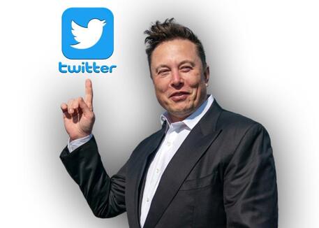 Elon Musk e Twitter (elaborazione) © ANSA
