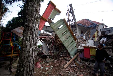 Terremoto in Indonesia © AFP