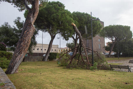 Maltempo: Carbonia, raffiche vento a 150km/h e danni © ANSA