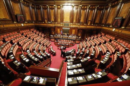 Aula del Senato (foto di archivio) © ANSA