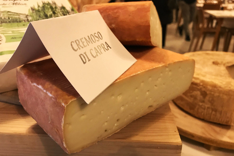 Il formaggio di capra “milanese” che ha conquistato i giudici internazionali  © Ansa
