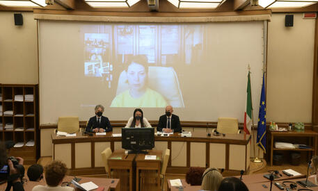La vicepremier dell'Ucraina in video collegamento con il Senato italiano © ANSA