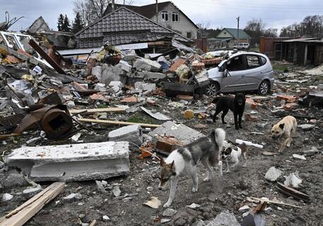 Nord est di Kiev © AFP