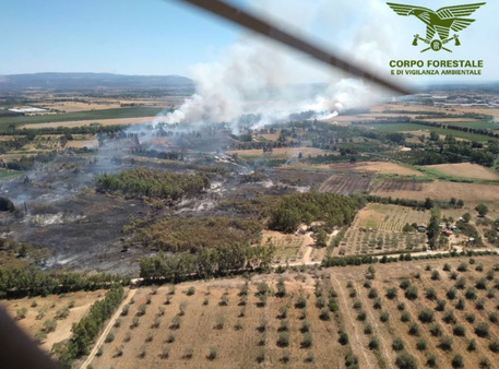 Incendio nel Sassarese, foto Corpo Forestale e di Vigilanza Ambientale della Sardegna © ANSA