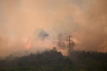 Incendi sul Carso in Slovenia © AFP