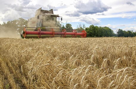 Raccolta del grano in Ucraina © EPA