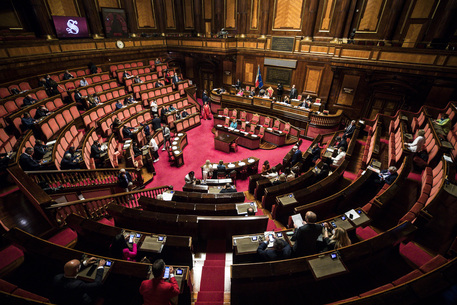 Aula del Senato © ANSA